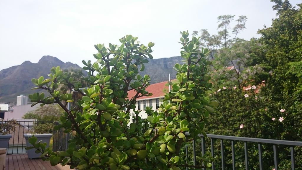 The Parkhouse Hotel Cape Town Phòng bức ảnh